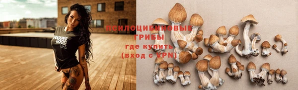 молекула духа Баксан