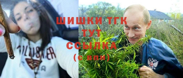 амф Заволжье