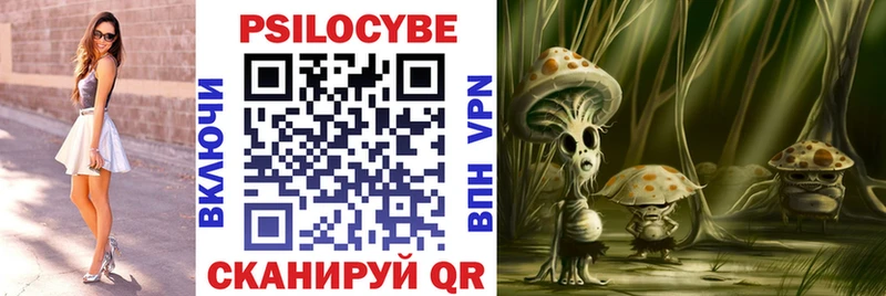 omg рабочий сайт  Городовиковск  Псилоцибиновые грибы MAGIC MUSHROOMS 